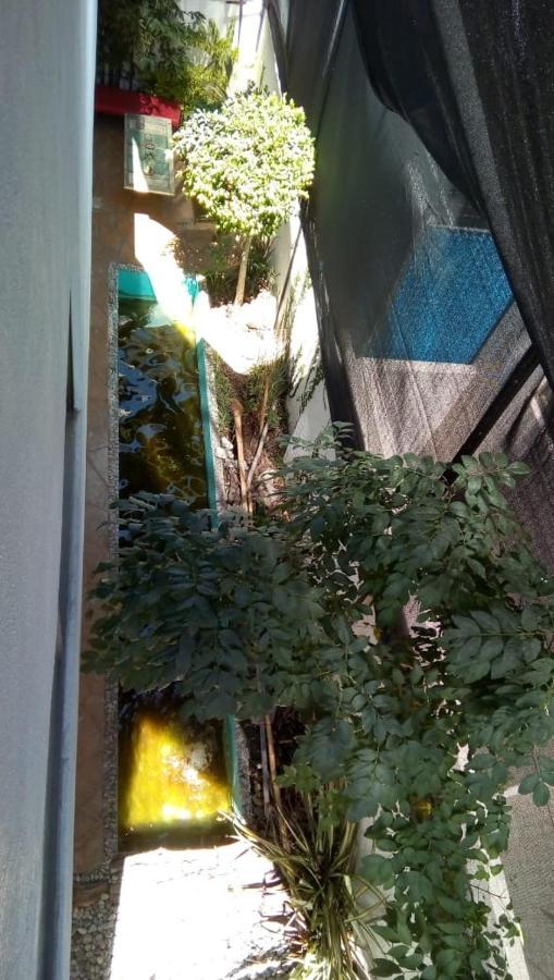 Casa Zen 호텔 Pachuca 외부 사진